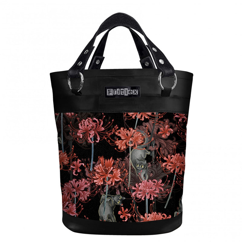 Chameleon grande Lycoris