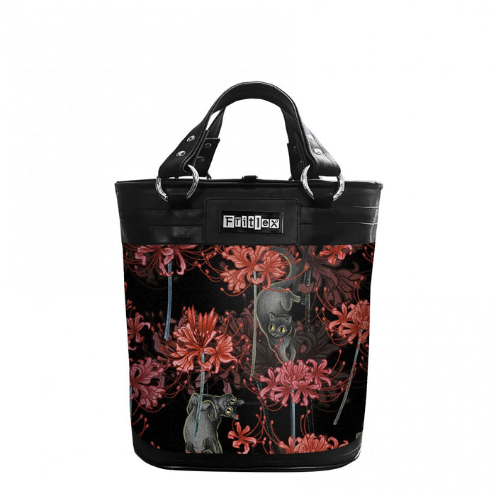 Chameleon piccola Lycoris