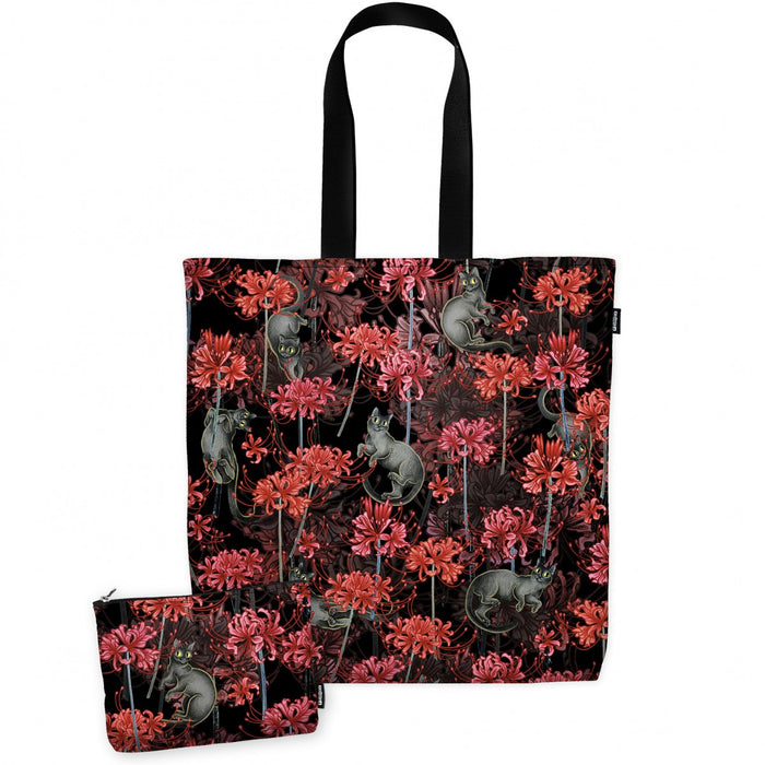 Sporta grande Lycoris